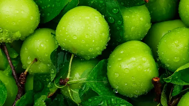Erikte Hangi Vitaminler Var, Eriğin Faydaları Neledir